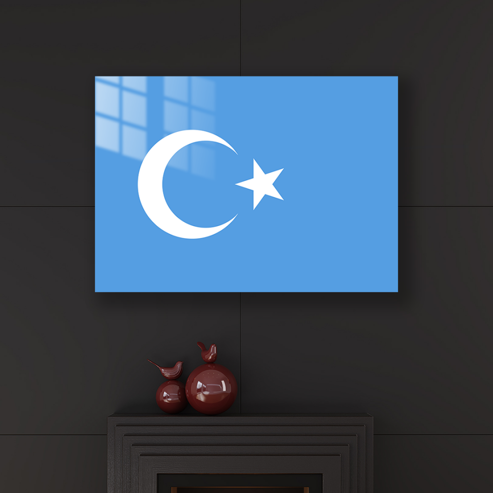 Doğu Türkistan Bayrağı Metal Poster